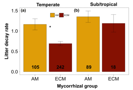 文獻解讀|在溫帶而非熱帶森林中，不同菌根群的凋落葉腐爛率不同